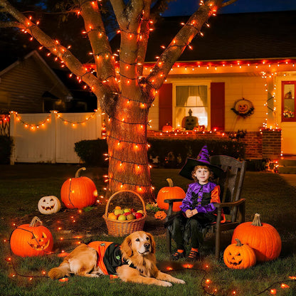 500 LED Orange Halloween Lights, 173Ft String Lights with Remote | Waterproof, 8 Modes, Indoor Outdoor Halloween Lights for Party House Tree Fireplace Thanksgiving Xmas Halloween Decorations